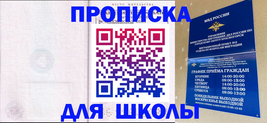 временная регистрация госуслуги в Бавлах
